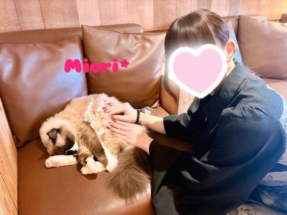 みおりpicture
