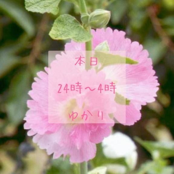 ゆかりpicture