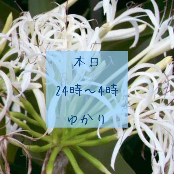 ゆかりpicture