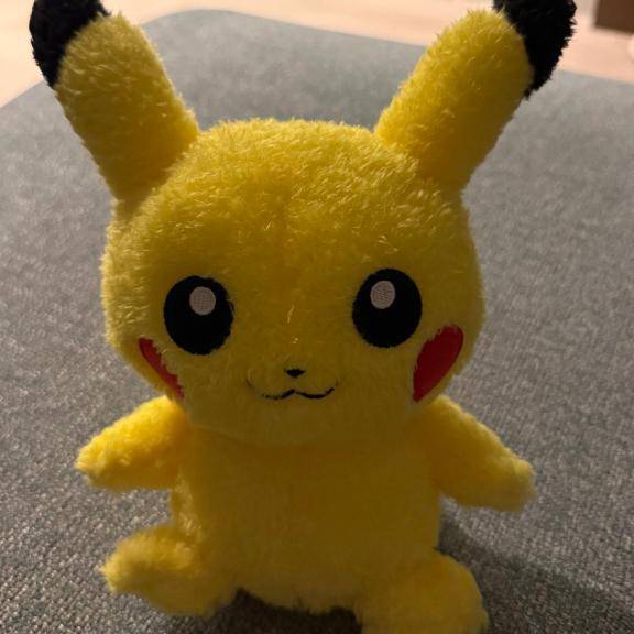 こいpicture
